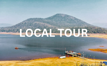 local tour
